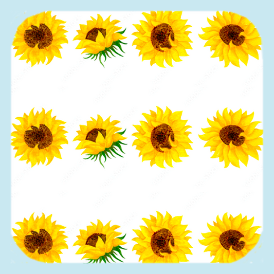 Team Sunflower! Coaster (1564-C)